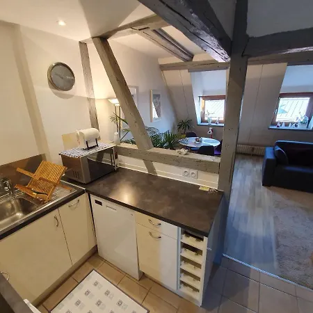 New ! Vue Petite Venise-place To Be Old Town - Parking * Colmar